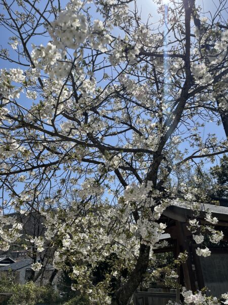 大阪府四條畷市　国中神社